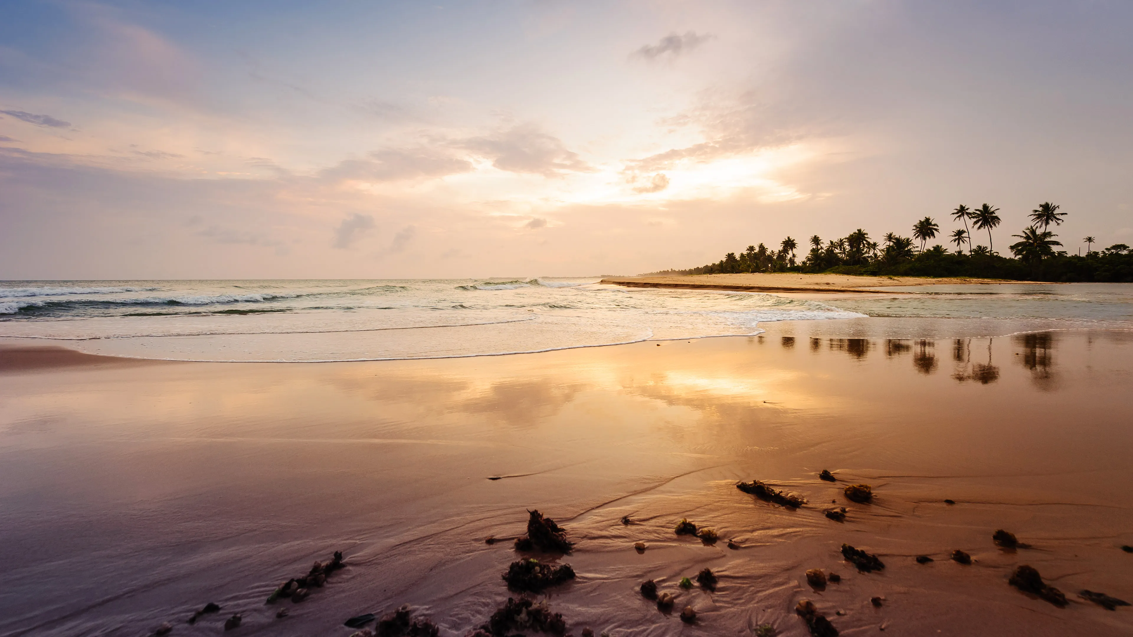 Shoreline Twilight: When Sky Meets Sea in Hues of Pink